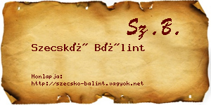 Szecskó Bálint névjegykártya